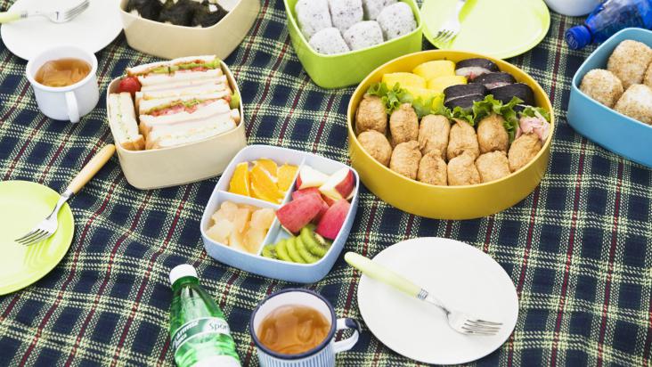 picnic-com-criança-principal