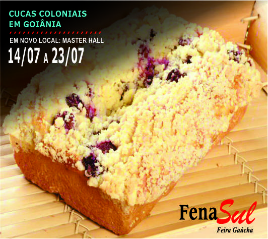 11ª edição da FenaSul movimenta Goiânia (3)[1246]
