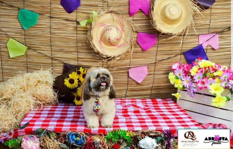 Screenshot_20191008-160240_Instagram