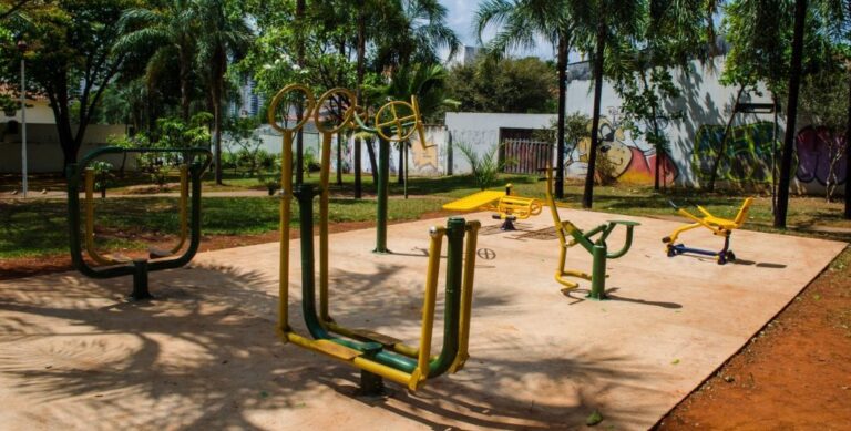 academias-ao-ar-livre-dos-parques-de-goiania-serao-interditadas-e1586284643589
