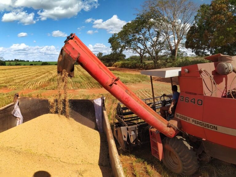 2e34aa72-140e-4206-a7e7-3a902ff1881a-1