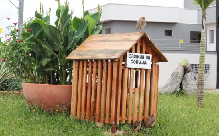 e5888605-casinhas-915x570-1