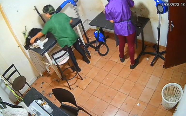 832e71fc-pet-shop-915x570-3