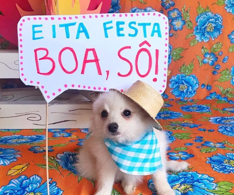 WhatsApp Image 2023-06-21 at 19.21.09