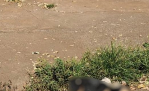 64d79844-img_20230707_100701