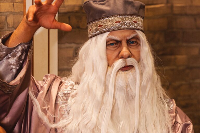 FESTA DA FANTASIA (3)