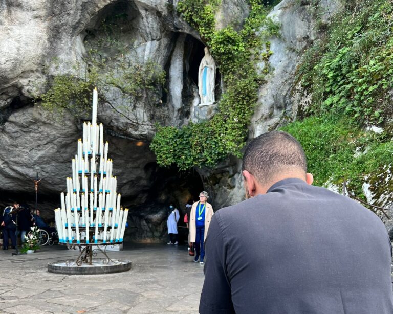 50508745-ca0b-40f3-ab19-38920b2043c4