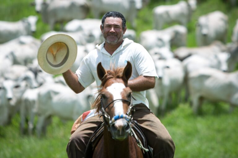 12a788d1-ee1a-49b5-8823-a2005222818b