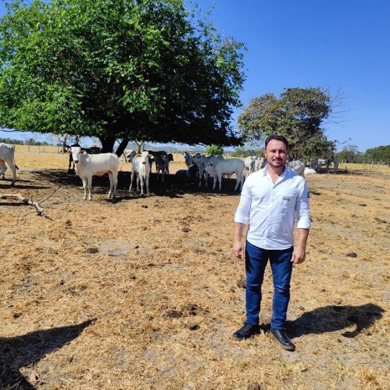 Imagem do WhatsApp de 2024-10-30 à(s) 19.18.20_bbc36206