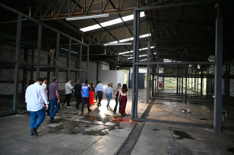 32f6bccc-9a6b-4f08-84fa-ac3d1c1735e2-1