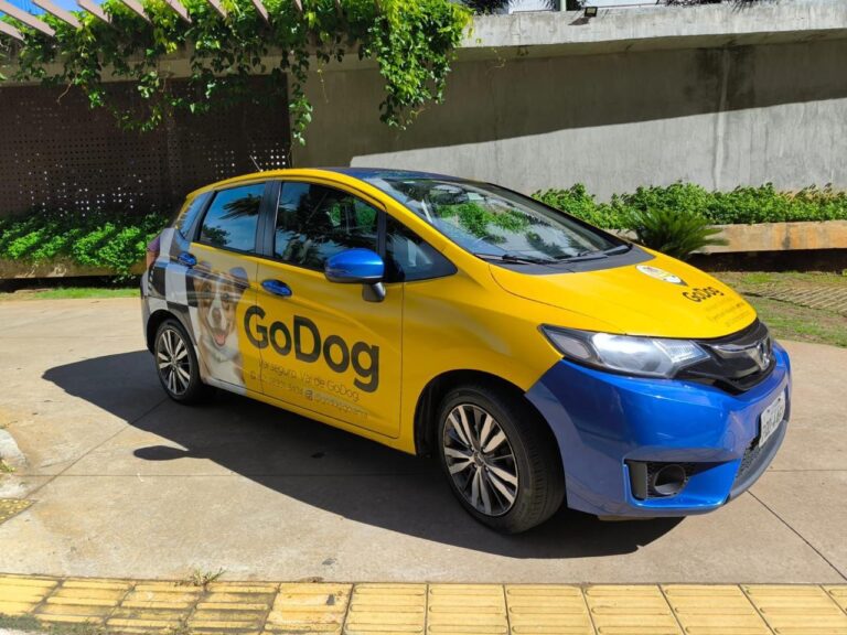 godog - foto divulgac?a?o (2)-1