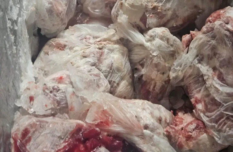 Agrodefesa Interdita Abatedouro Clandestino e Apreende Quase 1,2 Toneladas de Carne Suína Imprópria em Aragoiânia