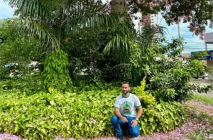 Lei Jatobá: Anápolis Propõe Compensação Ambiental para Cada Árvore Retirada