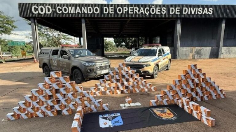 Motorista é flagrado transportando R$ 130 mil em agrotóxicos contrabandeados em Goiás