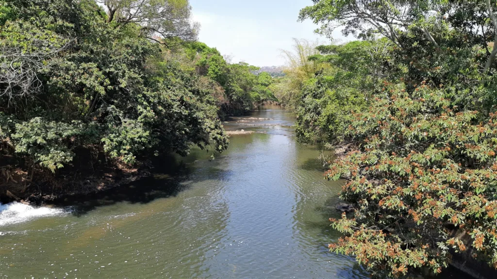 Câmara de Goiânia reconhece Rio Meia Ponte como entidade viva com direitos