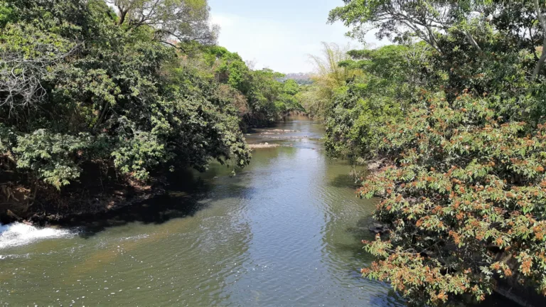 Câmara de Goiânia reconhece Rio Meia Ponte como entidade viva com direitos