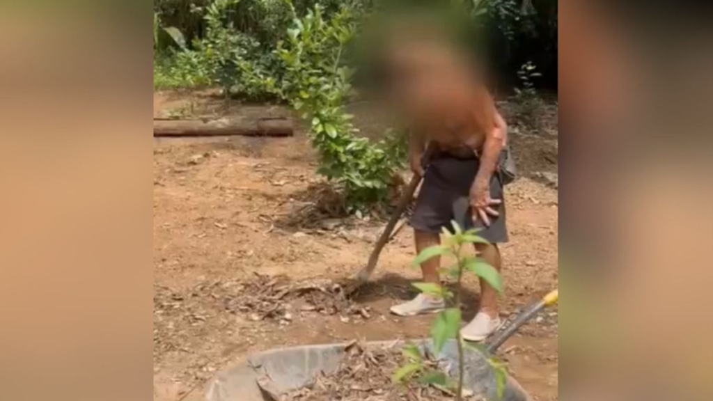 "Idoso de 75 anos é resgatado de trabalho análogo à escravidão em fazenda de Goiás"