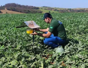 Aqui está uma sugestão de título baseado no conteúdo: 
"Goiás amplia exportação de frutas com certificação fitossanitária e consolida mercado internacional" 
Esse título destaca:  O protagonismo de Goiás na exportação de frutas (melancia, melão, abóbora); 
O rigor técnico e certificação fitossanitária (diferencial competitivo); 
A expansão para mercados internacionais.  Se preferir um enfoque mais específico, outras opções são:  "Agrodefesa impulsiona exportação de frutas goianas com controle rigoroso de pragas" 
"Goiás conquista 18 municípios certificados para exportar melancia, melão e abóbora"  Qualquer um deles capta a essência do texto, que aborda o trabalho em cadeia para garantir qualidade e abrir mercados.