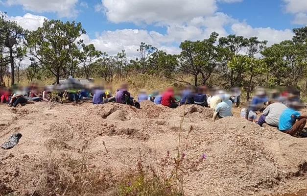 Aqui estão algumas opções de título com base no conteúdo fornecido:

Garimpo Ilegal em Cristalina é Desarticulado pela Polícia

Este título é direto, informativo e destaca o principal evento noticiado.