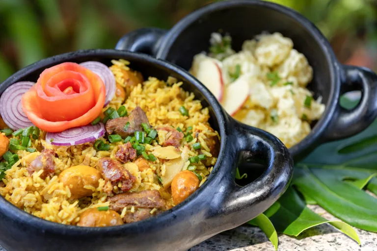 Fica 2025: Festival de Cinema Ambiental em Goiás terá Guia Gastronômico com pratos inspirados no Cerrado