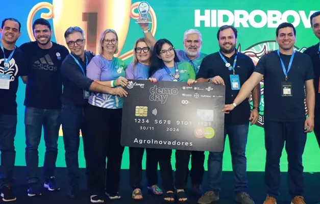 Goiás tem recorde de criação de startups em 2024, com 82 empresas.