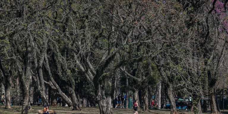 Cidade de São Paulo tem agosto mais seco desde 2020