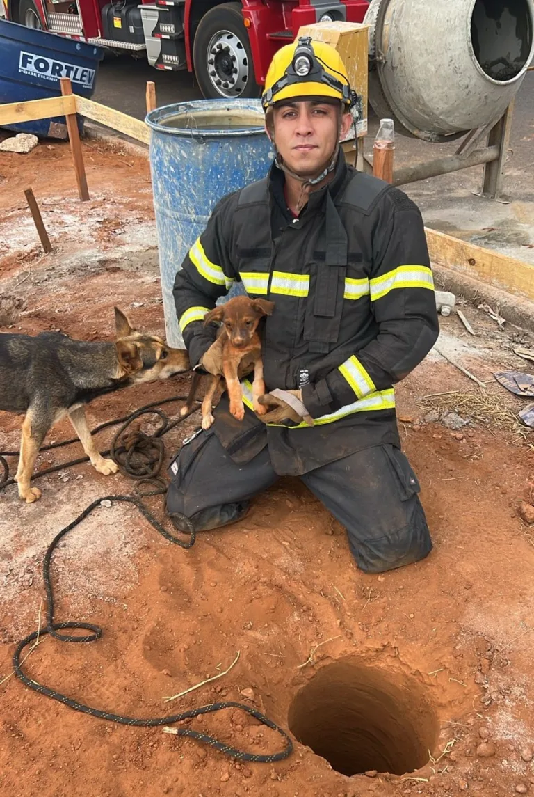 Bombeiros resgatam cães que caíram em buracos de obra