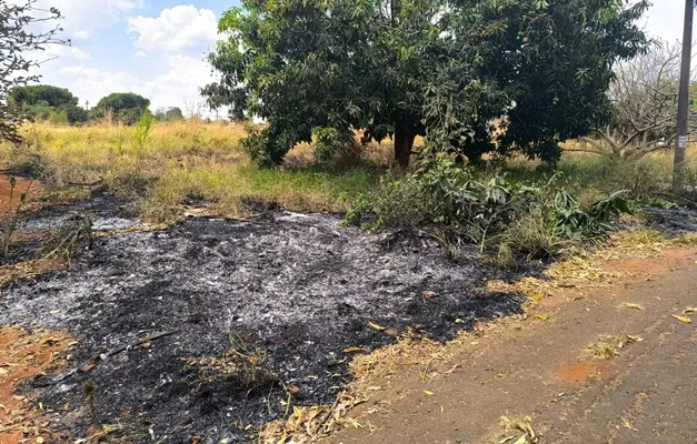 Casal é preso em Goiânia por atear fogo em vegetação