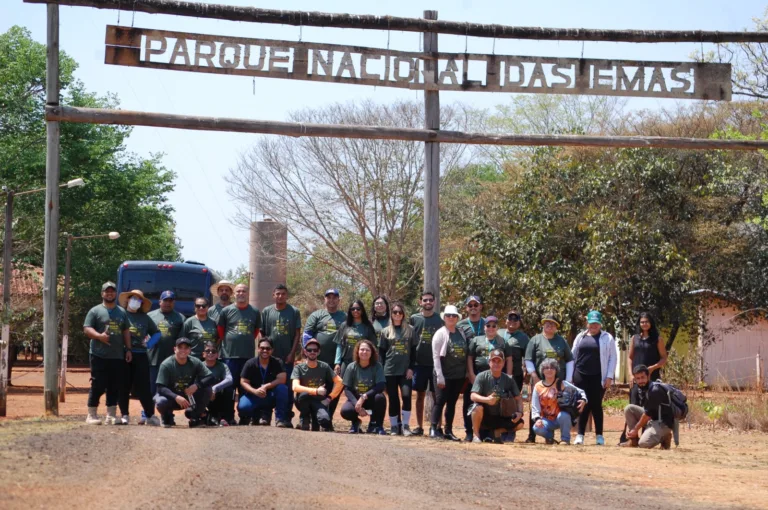 Alunos do Cotec em viagem técnica