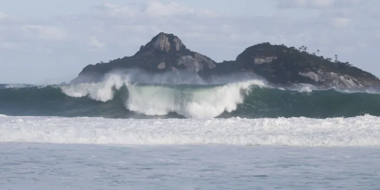 Jovens de 9 países participam de curso de pesquisas oceânicas no Rio
