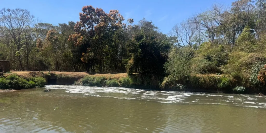 Semad identifica origem da espuma no Rio Meia Ponte