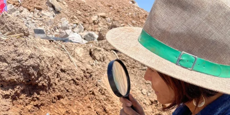 Goiás terá Centro de Excelência em Saúde Única do Brasil