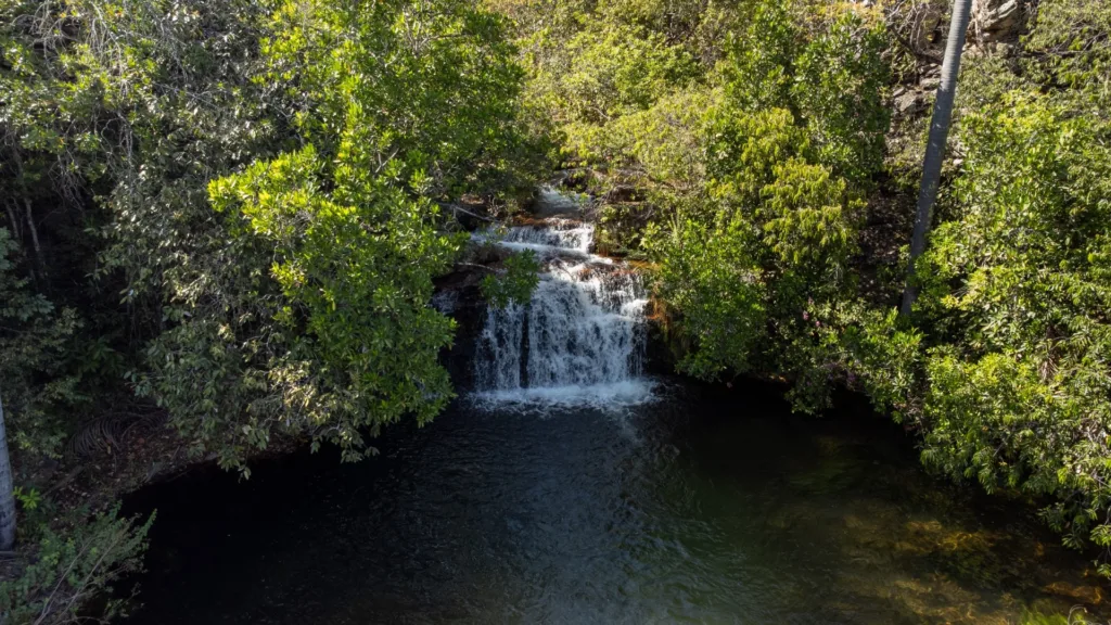 Goiás remunera produtores rurais que preservam Cerrado