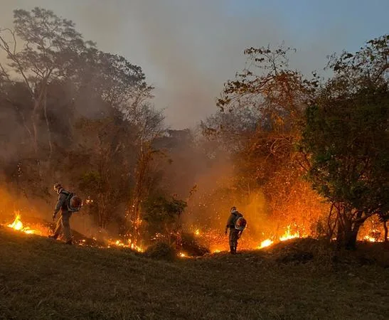 Goiás em Chamas: Queimadas Atingem Grande Goiânia e Incêndios Florestais Mobilizam Bombeiros