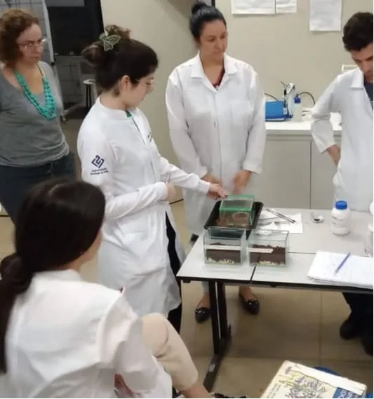 Sancionada lei que reestrutura Fapeg e moderniza governança