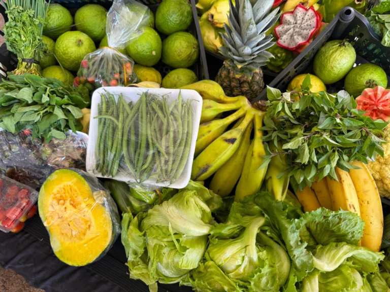 PAA Quilombola classifica 134 propostas no resultado final