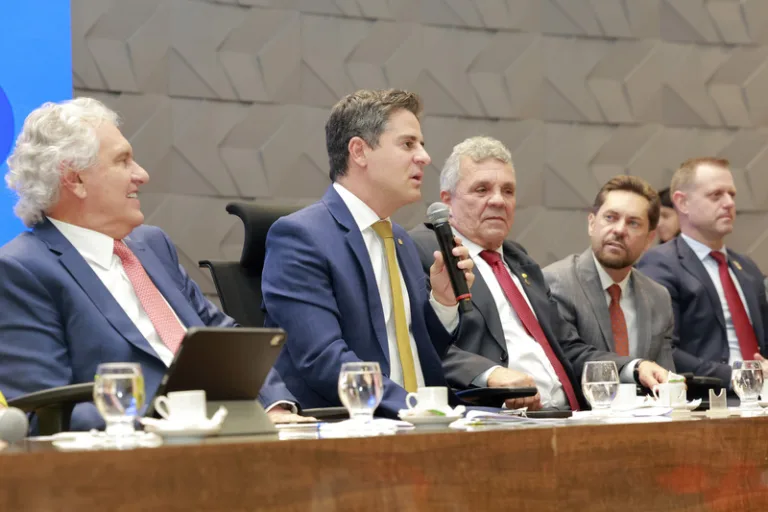 Emenda à Carta Magna