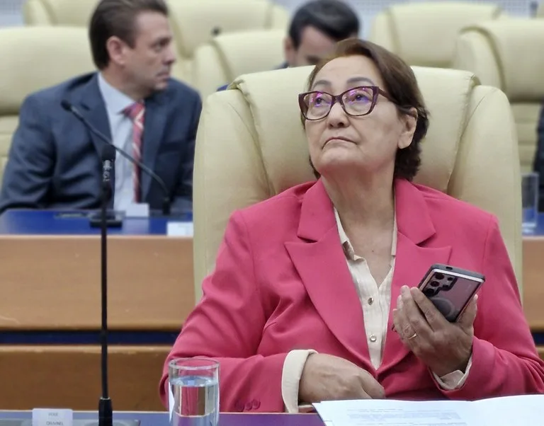 Proposta da Doutora Rose cria serviço 24h de denúncias ao Conselho Tutelar