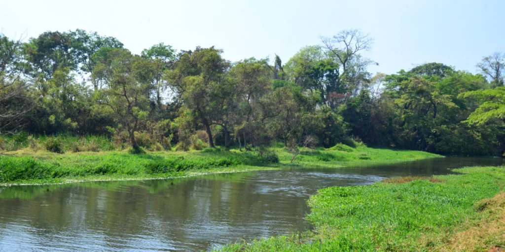 Rio Meia Ponte chega ao Nível Crítico 2