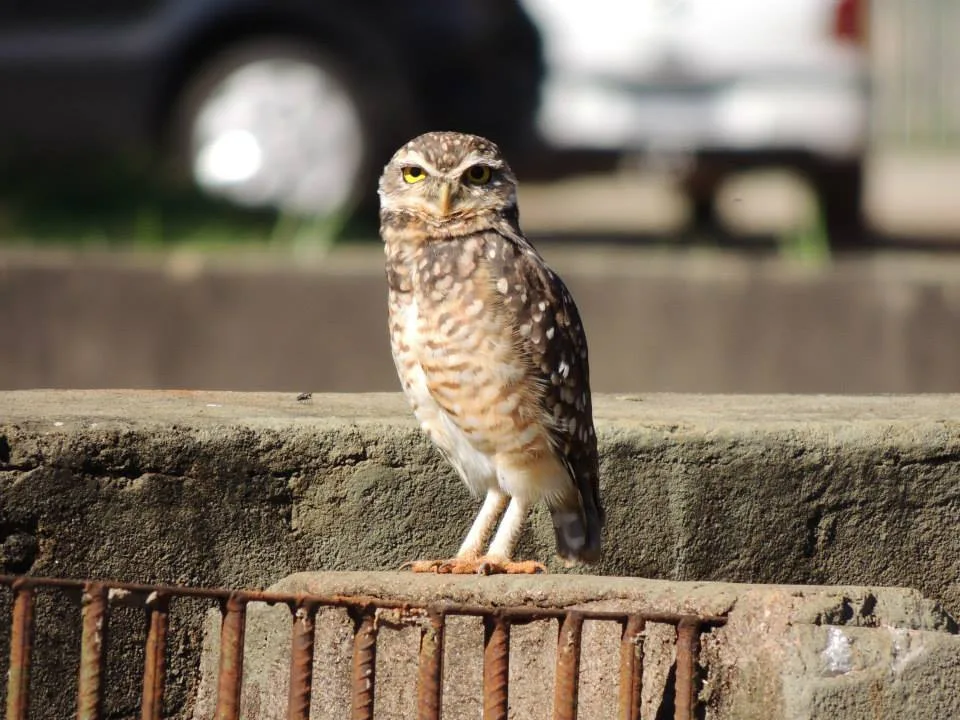 Concursos de música e fotografia somam R$ 60 mil em prêmios