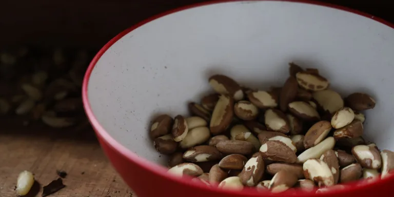 Agricultura familiar do Nordeste vai à maior feira mundial alimentos