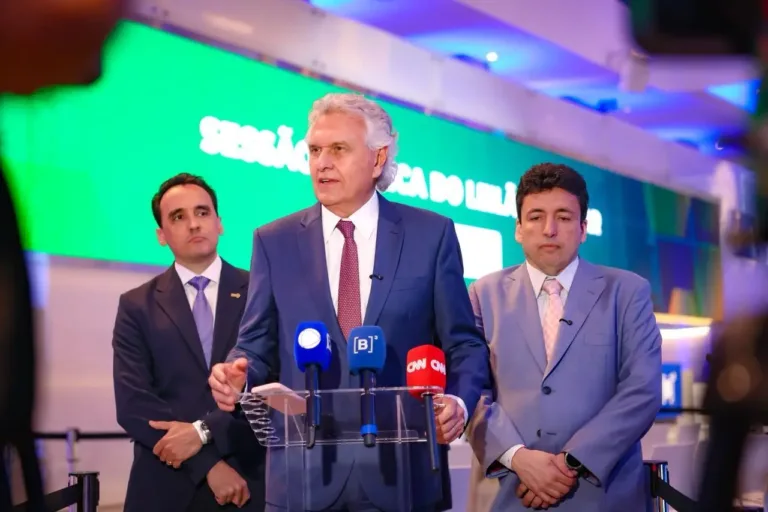 CelgPar é leiloada por R$ 227,3 milhões, superando expectativas