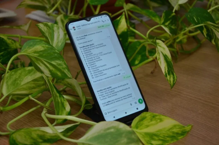 Davi, assistente virtual da Agrodefesa, agora recebe notificações de pragas e irregularidades pelo WhatsApp