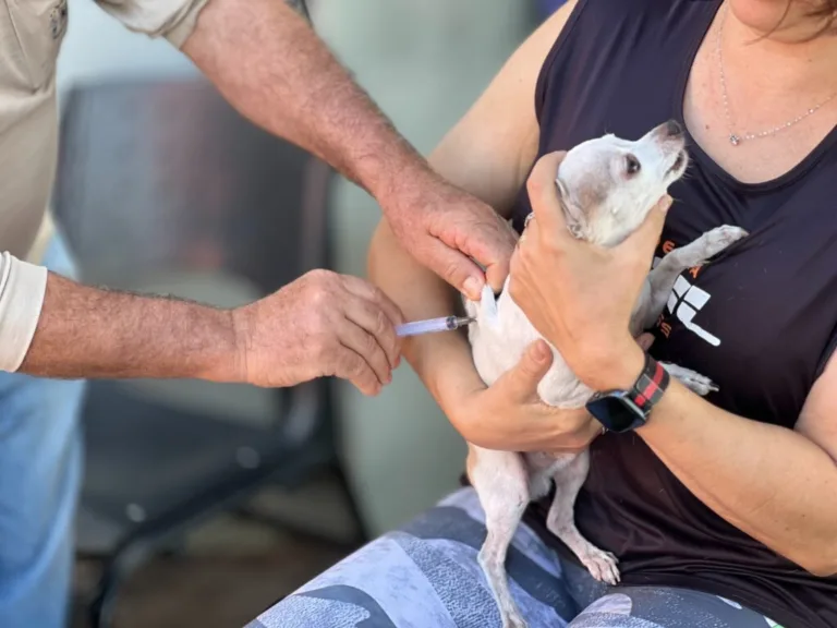 Prefeitura de Goiânia realiza Dia D de vacinação antirrábica neste sábado (11/10)