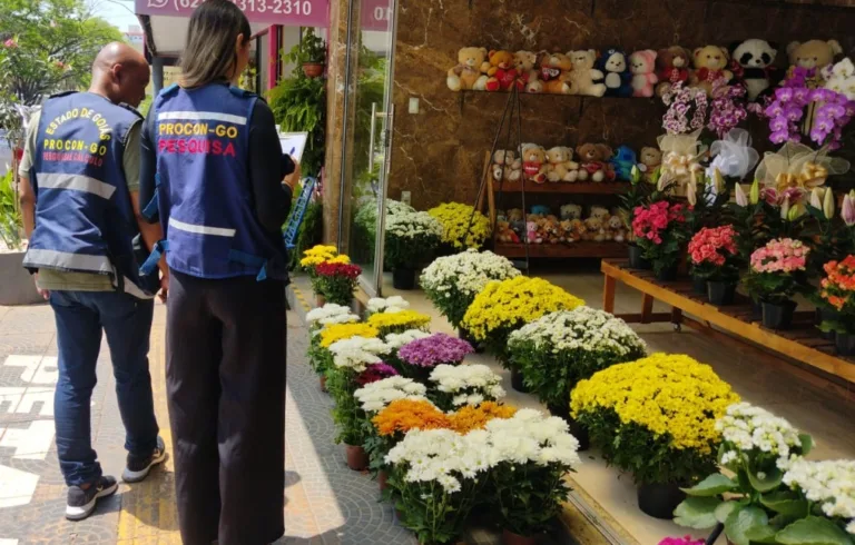 Procon Goiás Alerta para Variação de Até 589% em Produtos para o Dia de Finados