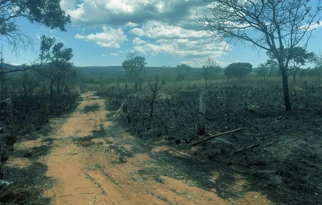 Proprietários de Imóveis Rurais Notificados por Incêndios na Chapada dos Veadeiros