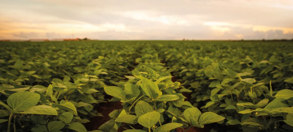 Goiás fortalece sustentabilidade no agro com políticas e inovação