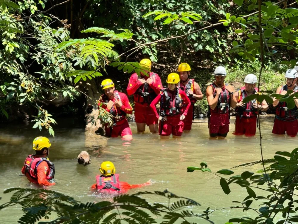 Comandos regionais dos Bombeiros participam de treinamento da Operação Tempestade