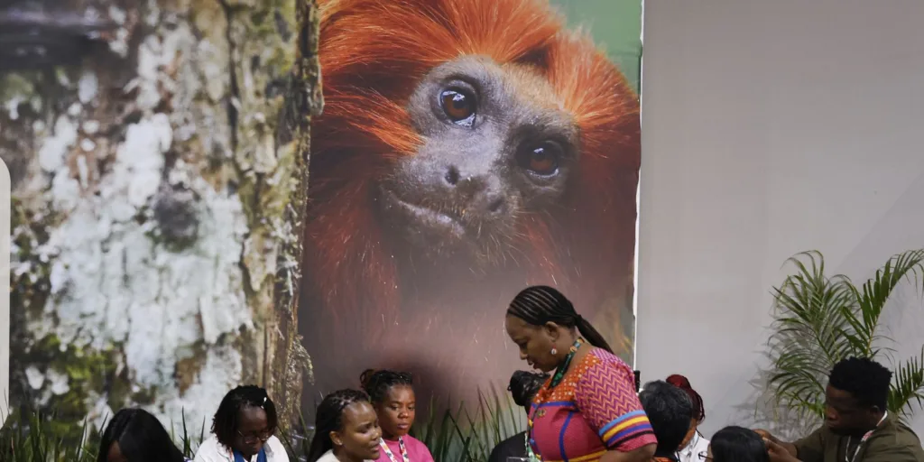 COP30: financiamento, transição e adaptação são centro das negociações