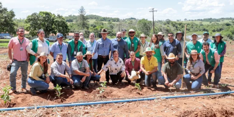 Emater realiza Dia de Campo com início do plantio de café arábica